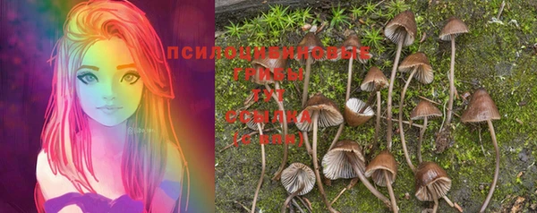 ПСИЛОЦИБИНОВЫЕ ГРИБЫ Алексин