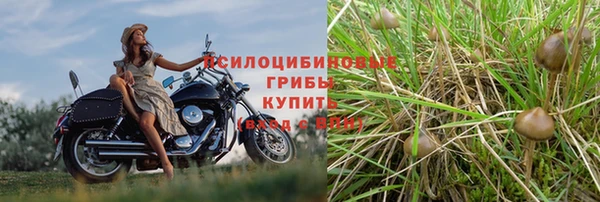 гидра Алзамай